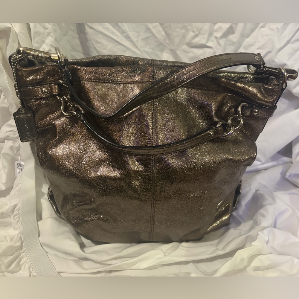 Coach Brooke metallic hobo-style shoulder bag.